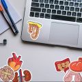 25 pcs internal anatomy of human being funny stickers for doctor's  laptop, mobile ,diary ,books and for science students ,kids etc.... 
