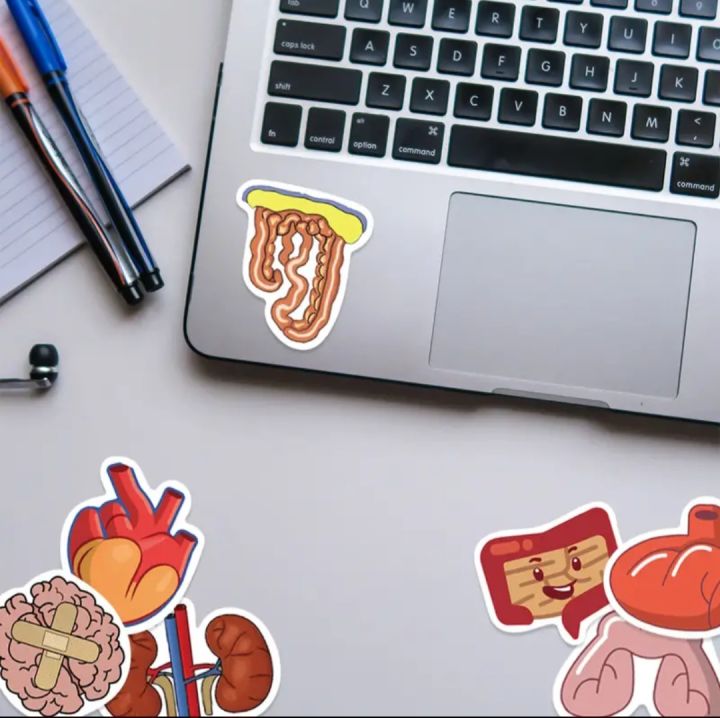 25%20pcs%20internal%20anatomy%20of%20human%20being%20funny%20stickers%20for%20doctor's%20%20laptop,%20mobile%20,diary%20,books%20and%20for%20science%20students%20,kids%20etc...%20-%20Image%204
