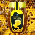 Honey by ZS Herbal- 500gm - 100% Natural & Pure. 