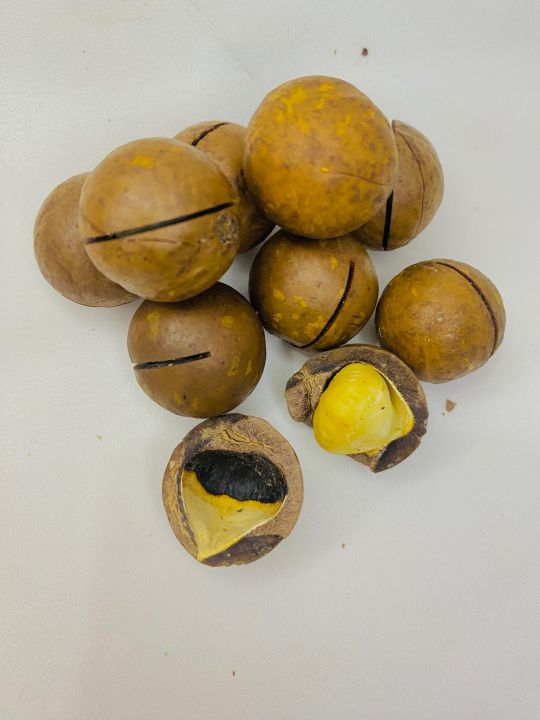 Macadamia%20Nuts%20250%20grams%20%7C%20Chabi%20wale%20akhrote%20-%20Image%205