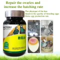 Pigeon strong health care products improve the physique and egg production rate of hens and improve the quality of breeding eggs. 