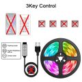 RGB LED Strip Lights 5050 Bluetooth APP IR Remote Control USB 1M 2M 3M 4M 5M 10M 15M 20M Festival Deco Backlight For Home. 
