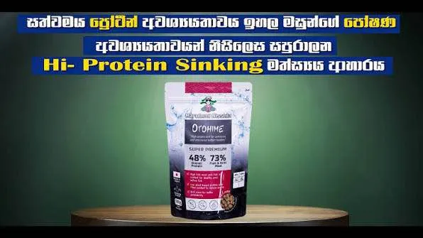 Marubeni%20Nisshin%20Fish%20Food%20Otohime%20EPF%20500g%20(High%20Protein)%20(Japanese%20Food)%20-%20Image%204