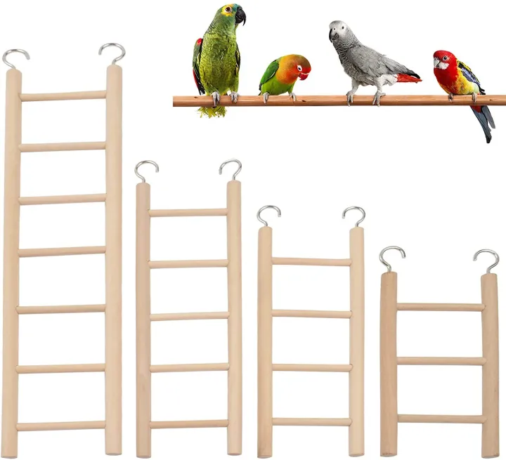 Bird%20Toys%20%20Ladder%20-%20Image%202