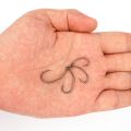 Hirisi 50pcs PTFE Coated High Carbon Stainless Steel Micro Barbed Fish Hook With Eye with Spliceable Box 8037. 