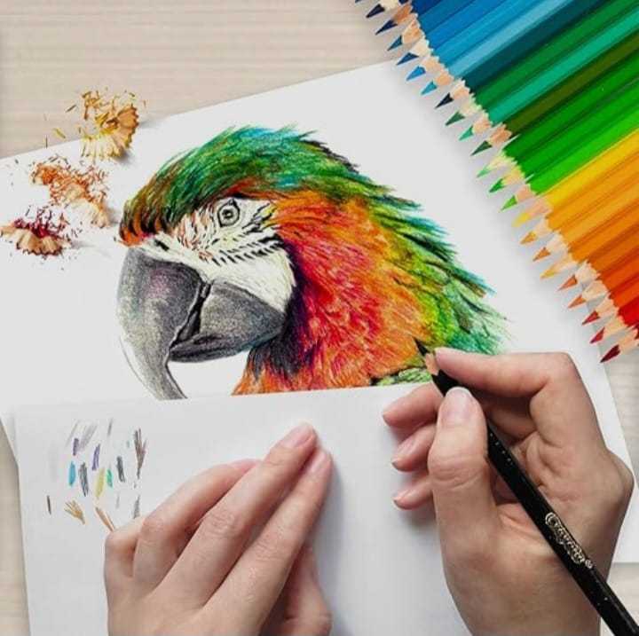Sketchbook%20A4%20size%20for%20acrylic%20oil%20and%20water%20painting%20Best%20spiral%20sketch%20book%20water%20absorbed%20paper%2020%20sheets%20high%20quality%20for%20art%20and%20craft%20projects%20%5BHAMID%20STATIONERS%5D%20-%20Image%206
