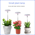 LED Indoor Angel Ring Plant Growth Light 2/4/8H On/Off Timer USB 5V Retractable Height Full Spectrum Simulated Sunlight Plant. 