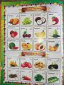 All in One Book for Kids-Early Learning Books - Children Book for Playgroup, Pre Nursery, Nursery, Starter and Kg Classes - Childrens Early Learning books - Children Home Schooling Books. 
