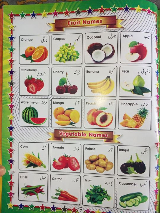 All%20in%20One%20Book%20for%20Kids-Early%20Learning%20Books%20-%20Children%20Book%20for%20Playgroup,%20Pre%20Nursery,%20Nursery,%20Starter%20and%20Kg%20Classes%20-%20Childrens%20Early%20Learning%20books%20-%20Children%20Home%20Schooling%20Books%20-%20Image%204