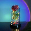 Flower Beauty and the Beast Led Eternal Rose in Glass Christmas Artificial Flowers for Decor Wedding New Year Gifts for Home. 