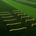 Soccer & Basketball Agility Training Set With Soft Skipping Ladders, Speed Rope - Includes Storage Bag.
