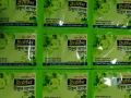 English Antilice Shampoo has been scientifically  ,ANTI-LICE 8ml SHAMPOO woman use hair. 