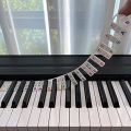 Piano Notes Guide for Beginner, Removable Piano Keyboard Note Labels for Learning, 88-Key Full Size, No Need Stickers, Reusable. 