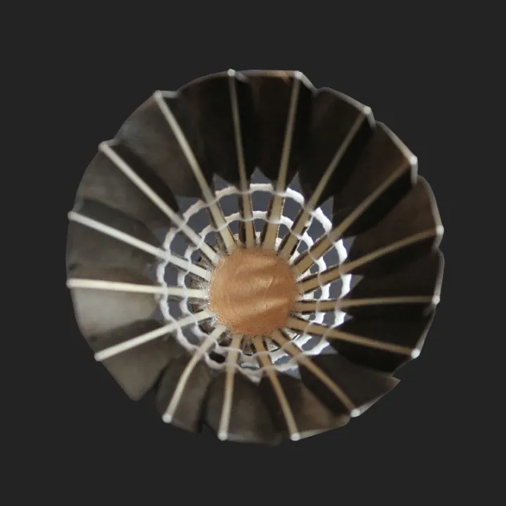 3/6/12pcs%20Professional%20Badminton%20Shuttlecock%20Black%20Goose%20Feather%20Badminton%20Shuttlecock%20Training%20Sport%20Badminton%20Ball%20-%20Image%205