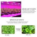 Plant Light Grow LED Strip 5V USB LED 1-5m Full Spectrum Waterproof LED Chip For Greenhouse Flower Seedling Grow Tent Hydroponic.