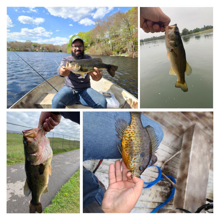 Spinpoler%20AJING%20Soft%20Fishing%20Lures%20Rockfish%2010pcs/lot%200.3g%2036mm%20Twin%20Tail%20Artificial%20Wobbler%20Ocean%20Rock%20Silicone%20Shad%20Worm%20Bait%20-%20Image%207