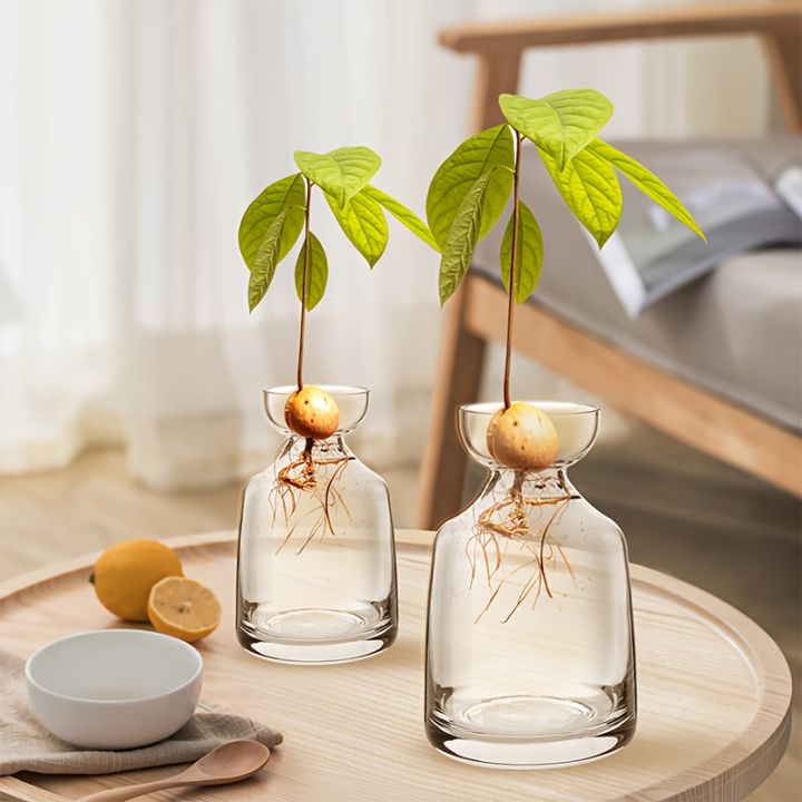 Two-piece%20Avocado%20Seed%20Starter%20Vase%20-%20Grow%20Your%20Own%20Avocado%20Tree%20Unique%20Glass%20Planting%20Pot%20for%20Gardening%20Lovers%20Start%20Your%20Green%20-%20Image%206