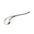 Stainless Steel Serving Spoon. 