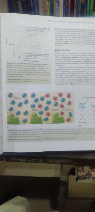 Prescott's%20Microbiology%20-%20Image%205