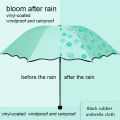 Umbrella, rain and shine dual use, manual blooming in water, black glue sunshade umbrella, compact and portable, three fold sun umbrella for elementary school students. 