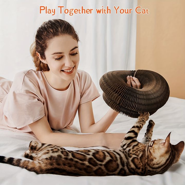 Ultimate%20indoor%20interactive%20mental%20and%20physical%20exercise%20cat%20toy,%20foldable%20cardboard%20scratching%20post%20-%20Image%204