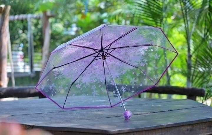 Supply%20Clear%20Transparent%20Umbrella%20Classic%20Cherry%20Sakura%20Women%5C's%20Umbrella%20Rain%20Romantic%20Folding%20Flower%20Umbrella%20-%20Image%202