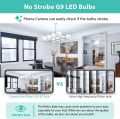 Cxyemt G9 LED Bulbs 3 W Replaces 28 W 33 W 40 W Halogen Bulbs, 6000 K Cool White G9 LED Energy Saving Light Bulb, AC 220-240 V, Not Dimmable, No Flickering Bulb, Pack of 5. 