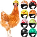 Farm Pet Chicken Helmet Sun Rain Protection Cute Hat for Hens Outdoor Henhouse Protective Gear Fighting Cock Funny.
