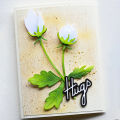 Blooming Anemone Magnolia Flowers Cutting Dies Set Happy Spring Script Sentiment Words DieCut for DIY Paper Card Making 2024 New. 