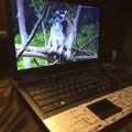hp probook 6450b core i5-M560 2.67GHz 1st generation, 4gb ram, 320gb hard drive, with brand new box pack battery 2 hours plus battery backup. 
