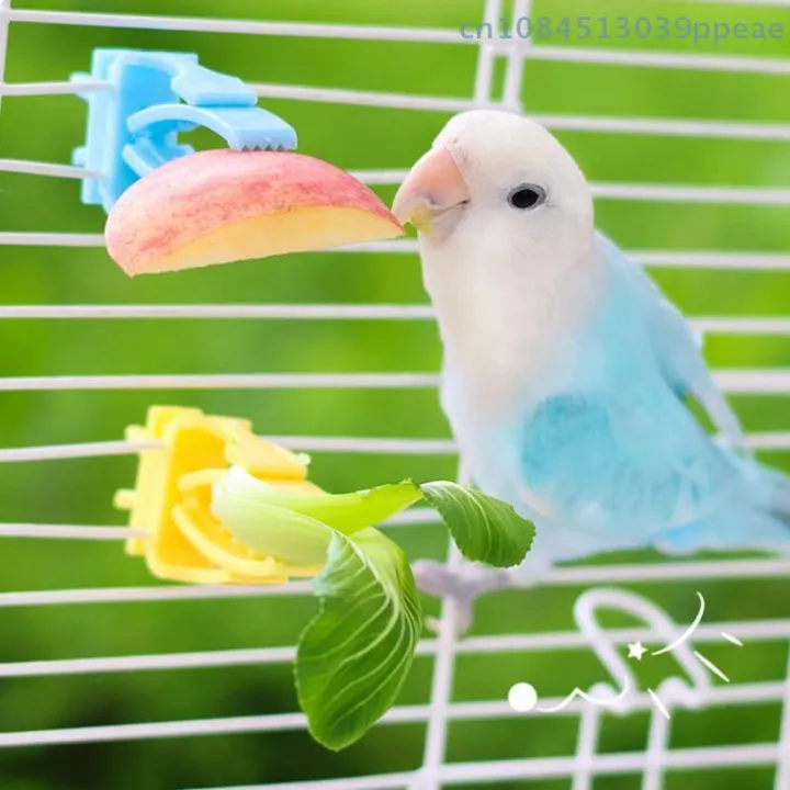 2/4%20Pcs%20Pet%20Bird%20Food%20Holder%20Parrot%20Fruits%20Vegetables%20Clip%20Bracket%20Cuttlefish%20Bone%20Feeder%20Device%20Clamp%20Bird%20Cage%20Accessories%20-%20Image%204