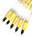 Calligraphy Fountain Pen (Set of 5),Calligraphy Ink Pens. 