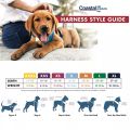 Dog Harness (small) for puppies. 