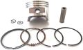 4 stroke ring piston  assay complete. 