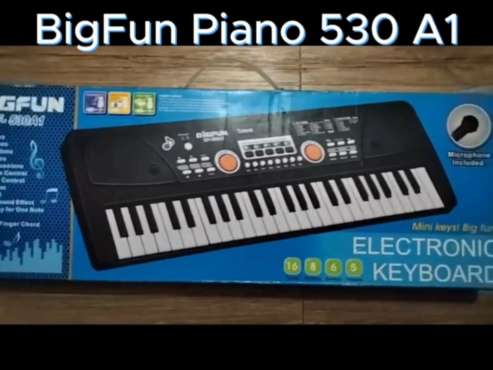 49 Keys Bigfun Electronic Piano Keyboard With Mic- BF-530A1