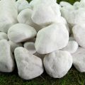 White very big Pebbles/ Stones for Garden and
Aquarium 1kg pack. 