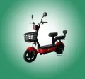 Evee Flipper Electric Bike. 