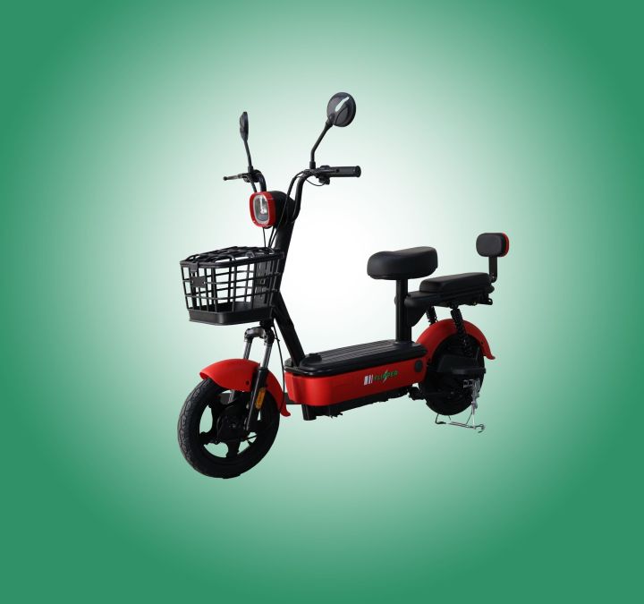 Evee%20Flipper%20Electric%20Bike%20-%20Image%203