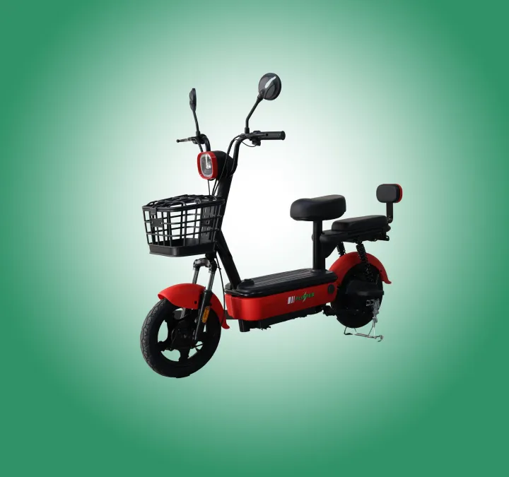 Evee%20Flipper%20Electric%20Bike%20-%20Image%203