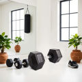 15kg Hex Dumbbell (1pc) - Black - Citizen Sports.