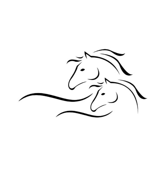 Royal%20Boski%206%20Pound%20suit%20for%20Men%20%7C%20boski%20for%20men%206%20pound%20%7C%20double%20horse%20original%20boski%20%7C%20original%20boski%20silk%20%7C%20Pure%20Boski%20original%20%7C%20unstitched%20Boski%20shalwar%20kameez%20%7C%20unstitched%20boski%20shalwar%20kameez%20-%20Image%209