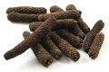 long pepper/filfil draz/ magha / 100 % natural/ 50 GM   فلفل دراز / مگھاں. 