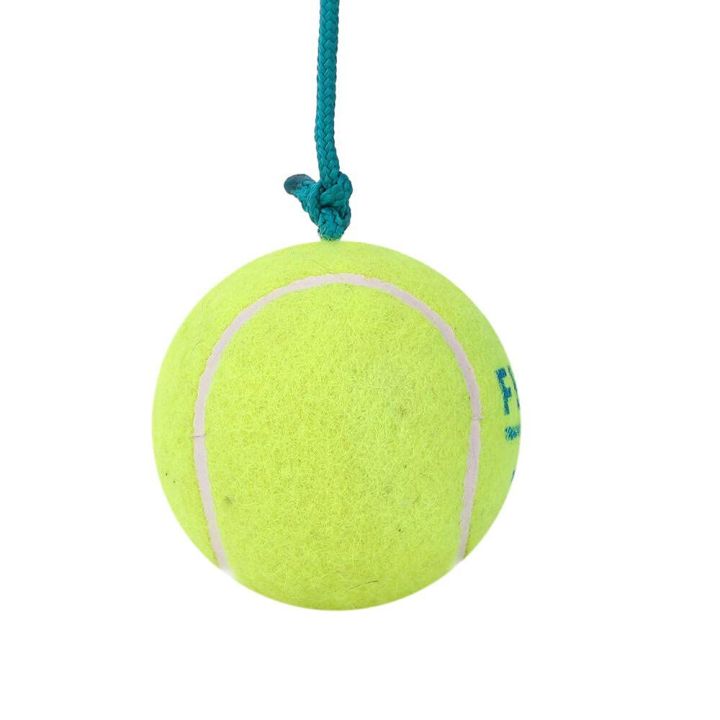 Cricket Hanging Tennis Ball With Rope Ball Quality 100% | Premium Gadget Online