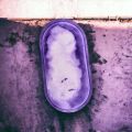 "Ivory Whisper with Royal Plum Marble Lavender/ Purple Oval Tray". 
