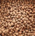 Clay Balls 500g. 