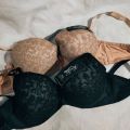 Double Paded Bra With Wire Very Comfortable for Girls and Women Lingree Braa Undergarments. 