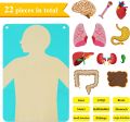 Montessori Human Body Parts Quiet Book,Toddler Toys Pretend Play Human Anatomy Book, Teaching Body Parts Felt Board  Stories. 