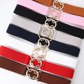 Fashion Metal Buckle Thin Stretchy Waist Belt Striped Elastic Waistband Elegant Women Girdle Accessories Female Belt. 