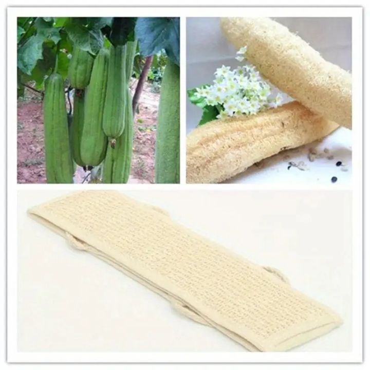 Exfoliating%20Body%20Sc%20-%20Soft%20Washcloth%20for%20Dead%20Skin%20Removal%20&%20Dry%20Brushing%20%7C%20Long%20Bath%20Sponge%20with%20Strap%20for%20Shower%20&%20Spa%20-%20Image%206