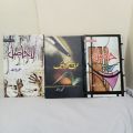 Pack Of 4 Hasil ,Lahasil,Qaraqaram ka Taj Mehal,Hurf Se Lafz Tak Best Selling Urdu Novels. 